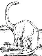Brachiosaurus Ausmalbilder 11