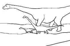 Brachiosaurus Ausmalbilder 15
