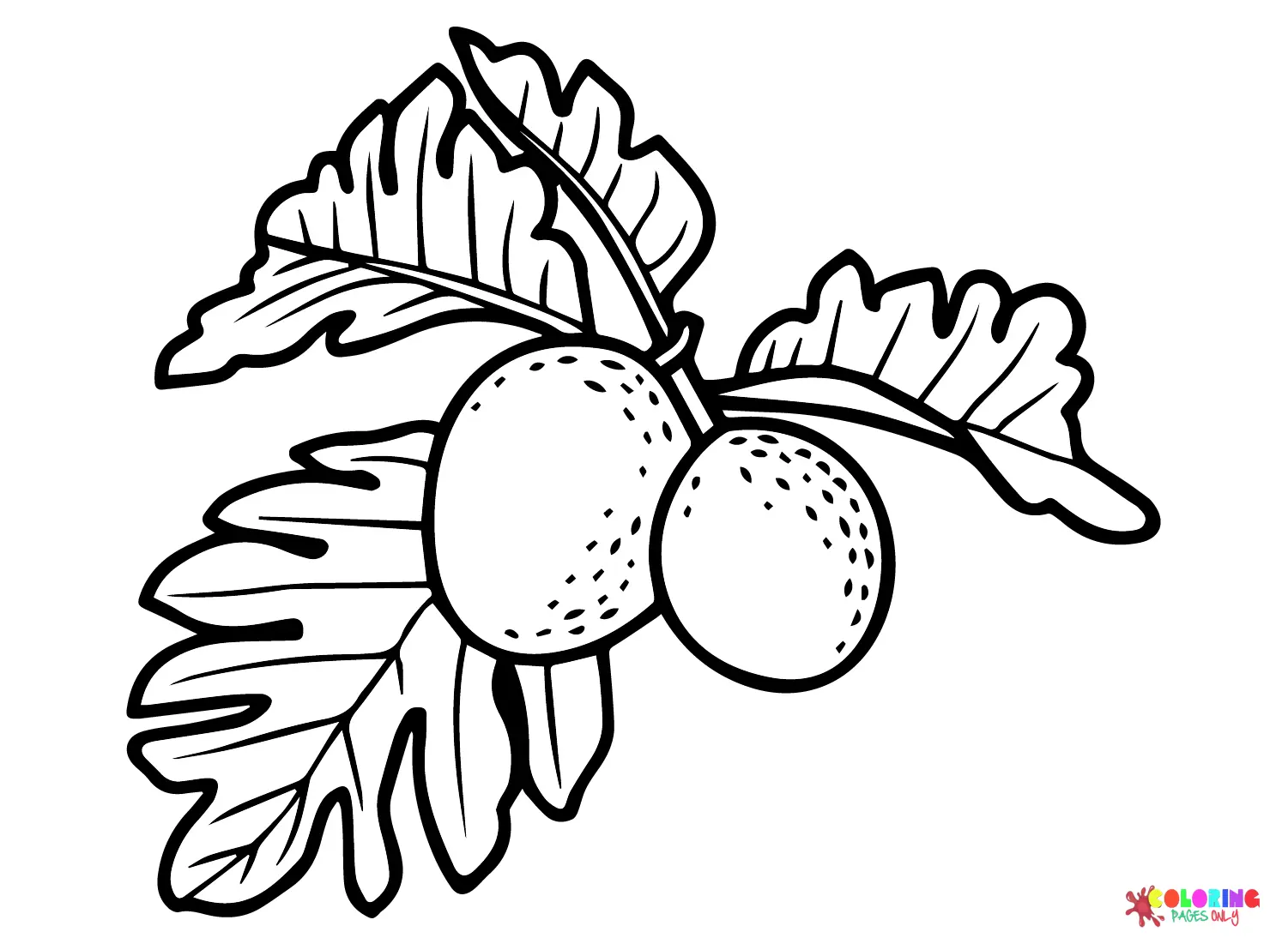 Breadfruit Coloring Pages 16
