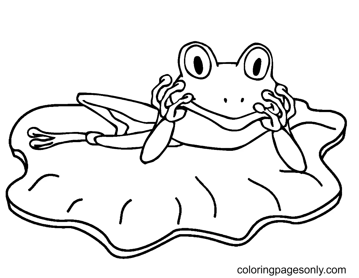 Desenhos de Sapo Para Colorir 11