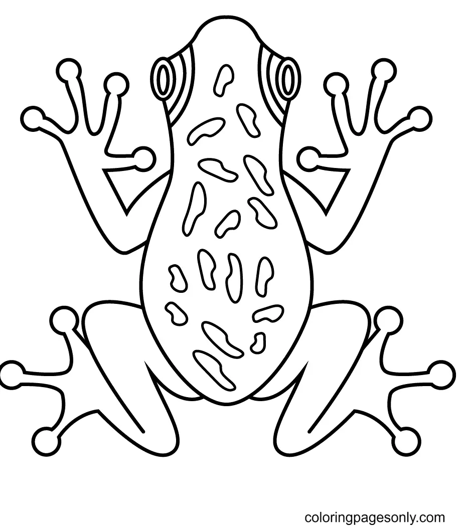 Desenhos de Sapo Para Colorir 15