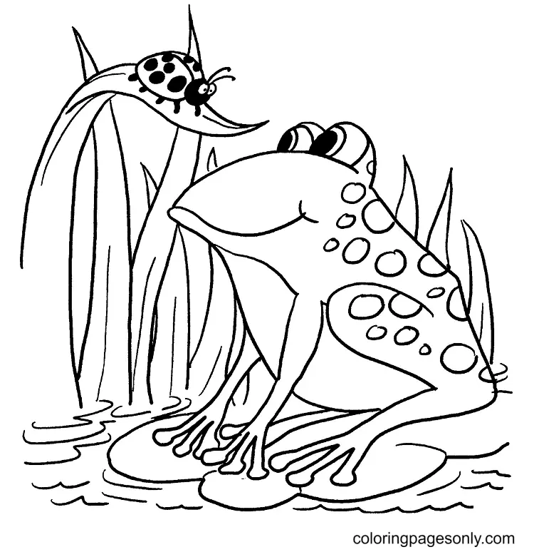 Desenhos de Sapo Para Colorir 33