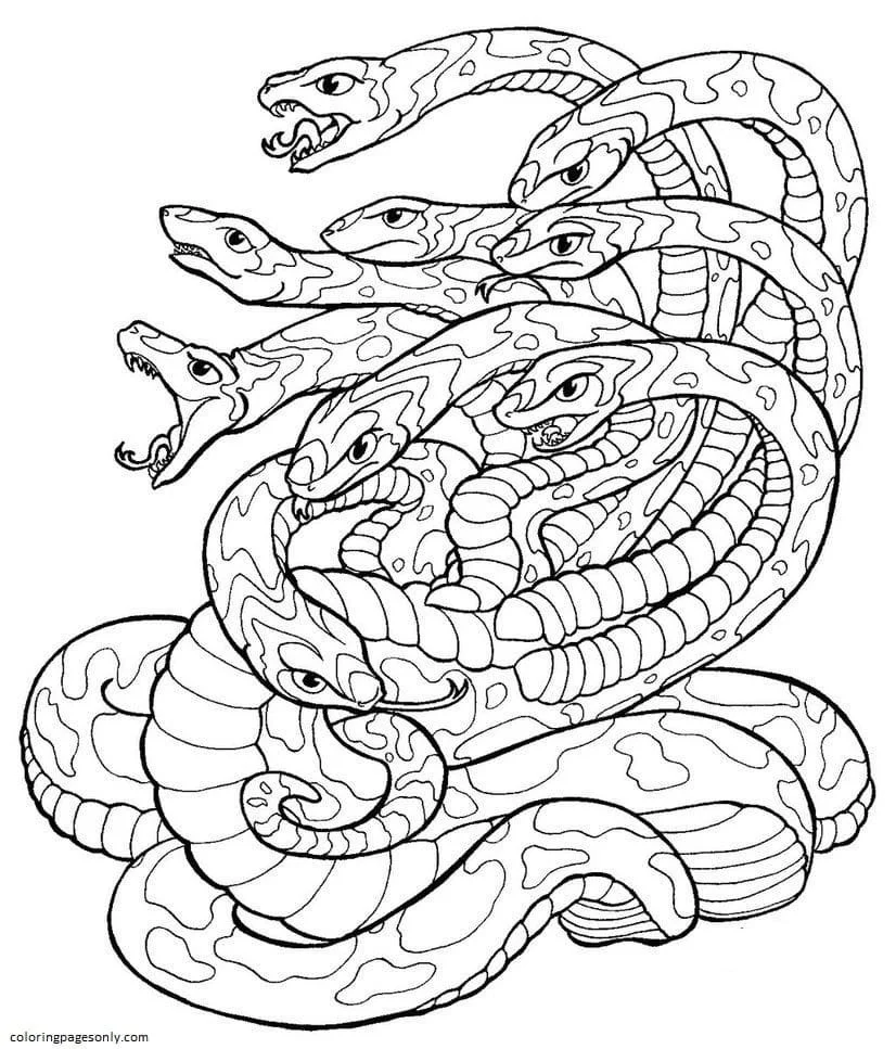 Hydra Ausmalbilder 11