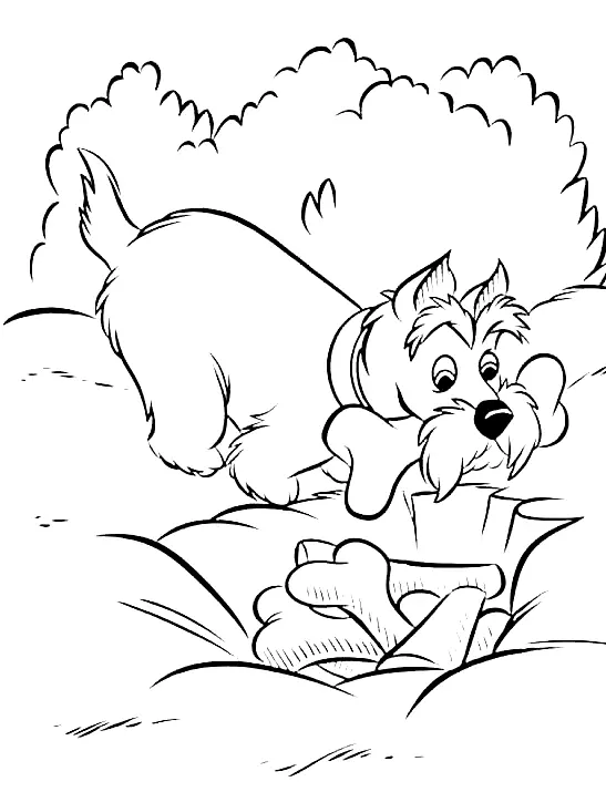 La Dama Y El Vagabundo Para Colorear 55
