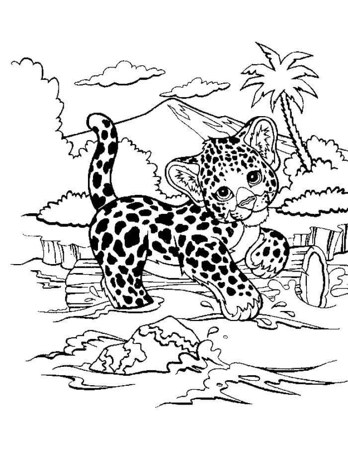 Leopard Coloring Pages 35