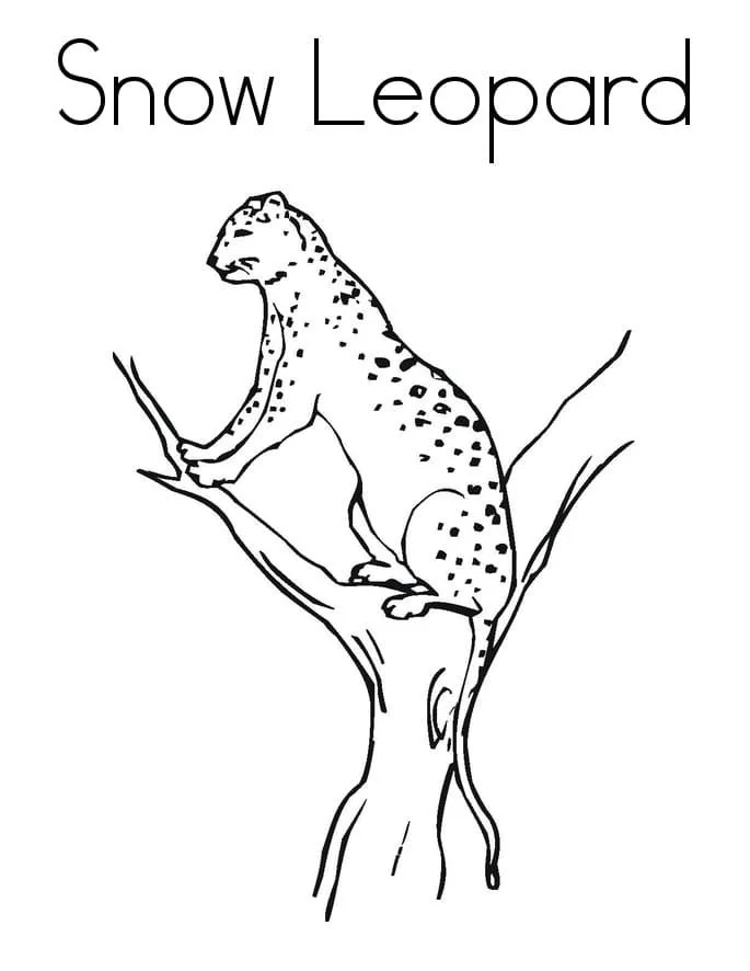 Leopard Coloring Pages 58