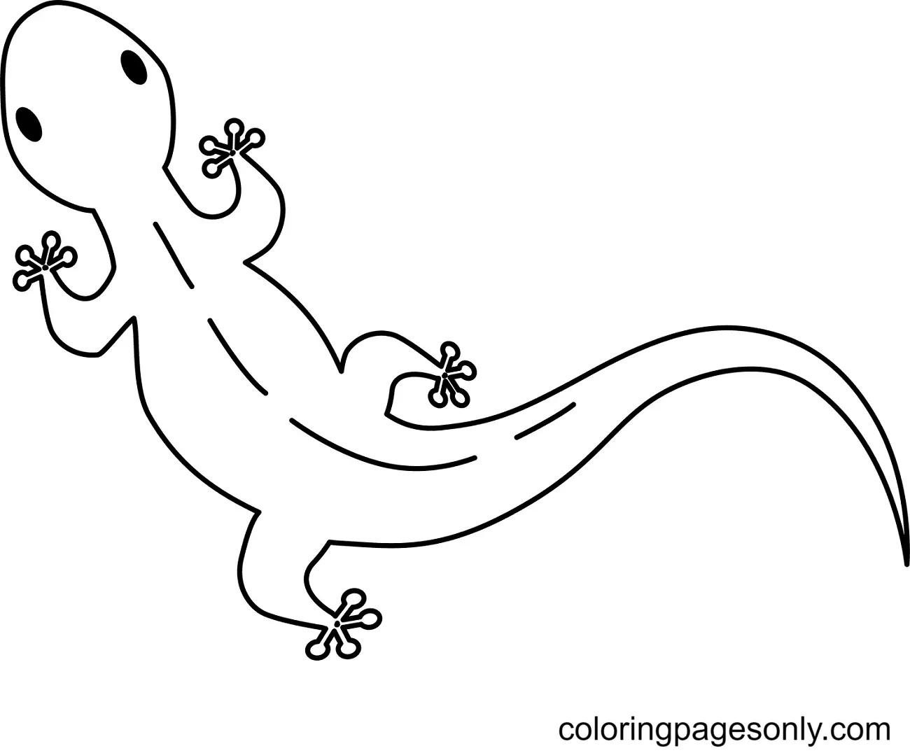 Lizard Coloring Pages 19
